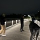 alone in london EP
