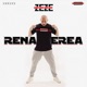 Renasterea