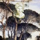 Swamp Queen Single
