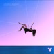 Falling feat Carly Paige Single