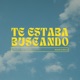 Te Estaba Buscando Single