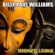 Serengeti Lounge Vol 1