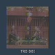 Tro Doi Single