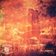 Distractions Single