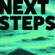 Next Steps Single
