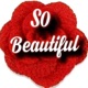 So Beautiful Single