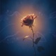 In Love with You Single