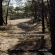 In the Clearing at the End of the Path feat Chris James Single