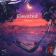 Elevated Single