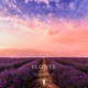 Flower Slowed Lofi feat dkj Single