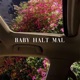 Baby Halt mal Single