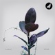 Home EP