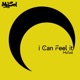 I Can Feel It Single