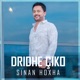 Dridhe Ciko Single