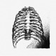 RIBCAGE Single