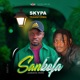 Sankofa feat Transforma Single