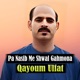 Pa Nasib Me Shwal Ghamona