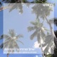 Summer Time Single