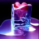 She wants to feel love feat Big E Single