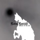 Horses In the Sky Single