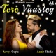 Tere Vaastey Single