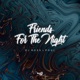 Friends for the Night Single