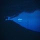 ashes Single