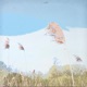 Lofi Morning Single