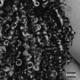 Curly hair Single