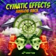 Analog Race Single