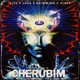 CHERUBIM Remix feat Luga Single