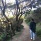 AUSSIE Single