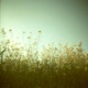 Lovely feat Thalia Cutrona Single