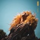 Funkified Single