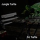 Jungle Turtle Single