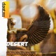 Desert Single