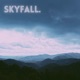 skyfall feat Bayb Rio Single