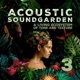 Acoustic Soundgarden 3