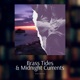 Brass Tides Midnight Currents