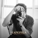 Camomila Single