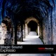 Expressio Single
