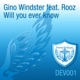 Will You Ever Know feat Rooz Remixes EP