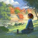 Sweet World Single