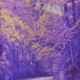 fallout Single
