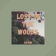 Lost In the Woods feat Lofi Chillhop Single