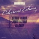 Coherent Echoes Single