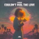 Couldn t Feel The Love Single