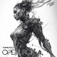 Open Form Single