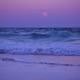 Shore Single