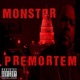 Premortem